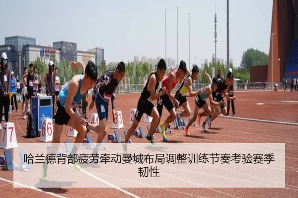 img_1784029266048_46_1_945.jpg